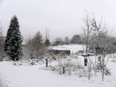 2021-01-03 Birkenhain 1.jpg