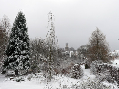 2021-01-03 Gartenimpressionen 6.jpg