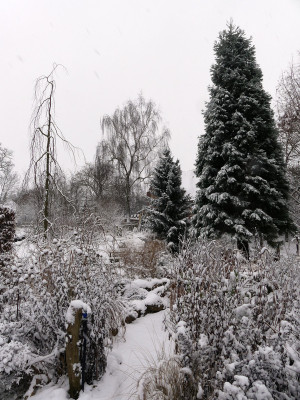 2021-01-03 Gartenimpressionen 8.jpg
