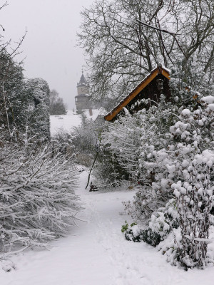 2021-01-03 Gartenimpressionen 12.jpg
