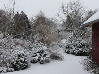 2021-01-03 Gartenimpressionen 13.jpg