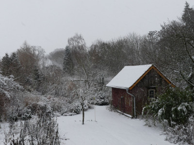 2021-01-03 Gartenimpressionen 14.jpg