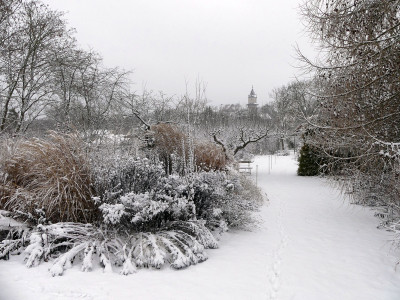 2021-01-03 Gartenimpressionen 9.jpg