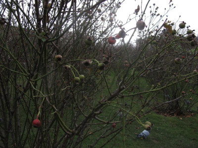 buttenvolksgarten.JPG