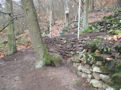Grenzmauer 20210103_031.JPG
