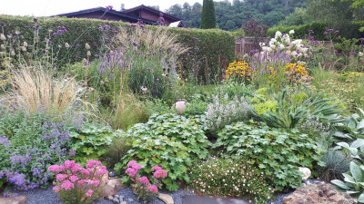 20200828_100906.jpg