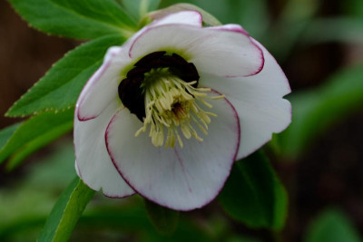 DSCF1602.JPG