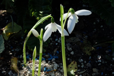 DSCF2905.JPG