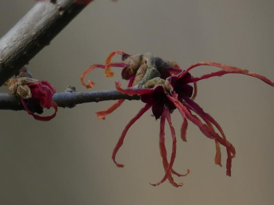 P1080418.JPG