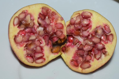 punica granatum 004.JPG