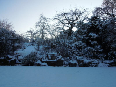 DSCN0539.JPG