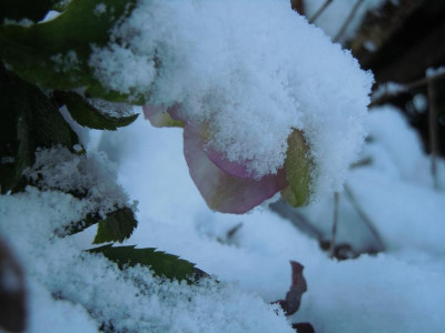 DSCN0545.JPG