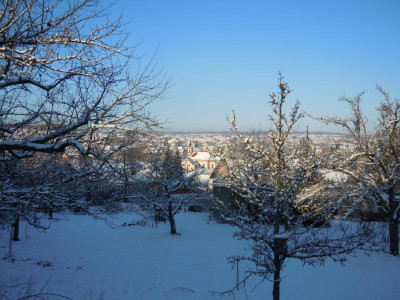 DSCN0548.JPG