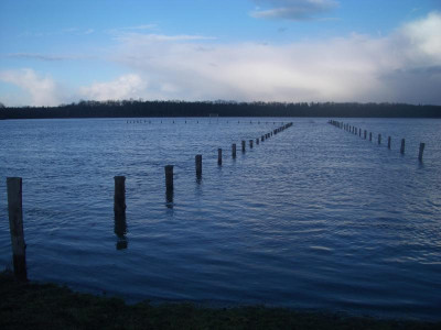 imgp3120j6dl.jpg