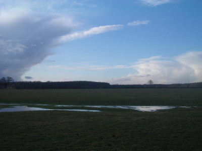 imgp3136tup0.jpg