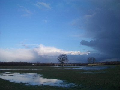 imgp315056gn.jpg