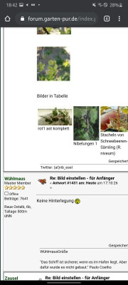 Screenshot_20210109-184255_Chrome.jpg