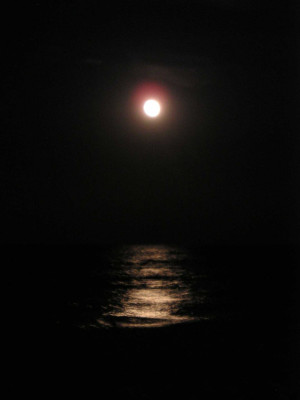 mond4.jpg