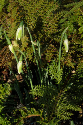 DSCF3450_5132.JPG
