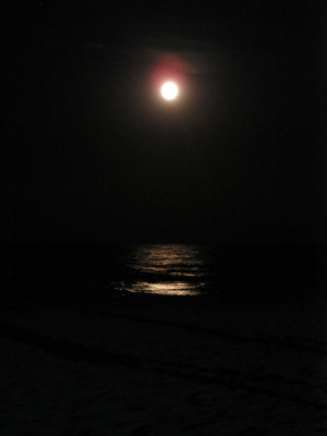 mond5.jpg