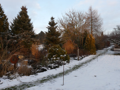 2021-01-10 Gartenimpressionen 7.jpg