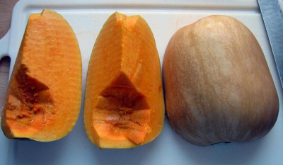 EarlyButternut1.jpg