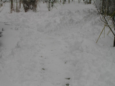 P1010072.JPG