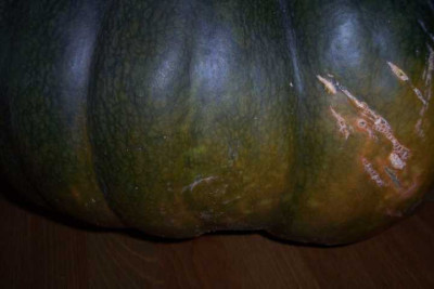 K640_100_4514.JPG