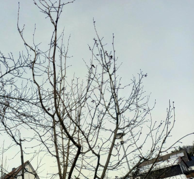 20210111_111423.jpg