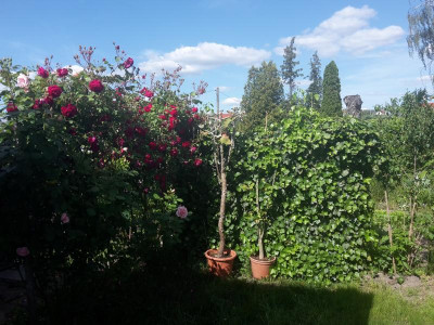 20190529_162404.jpg