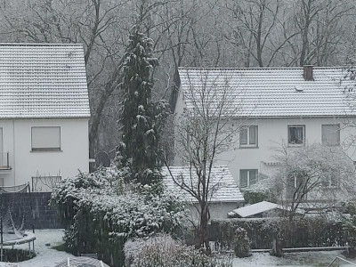 14. Januar 2021.jpg