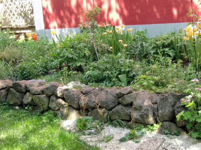 CIMG6703.JPG