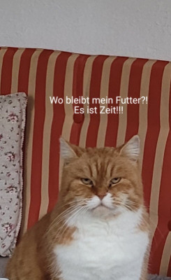 2021-01-14-16-24-22.jpg