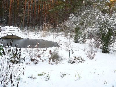 Offene Gärten 2150.jpg