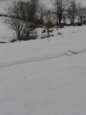 IMG-20210114-WA0016.jpg