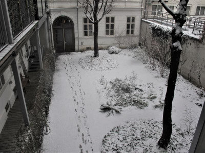 jaennerschnee.JPG