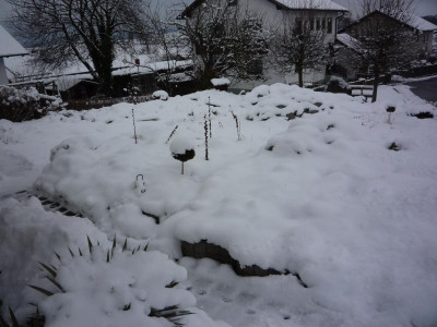 Untere Anlage eingeschneit_08.01.2021.JPG