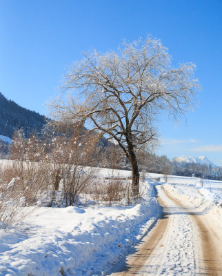 _MG_9330.jpg