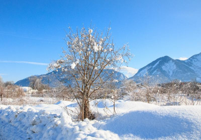 _MG_9338.jpg