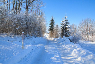 _MG_9375.jpg