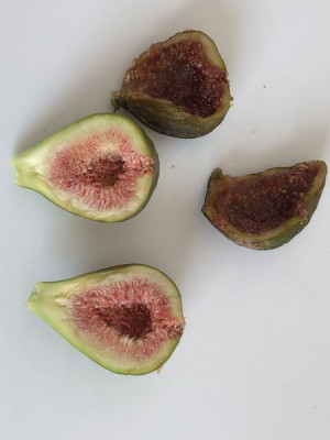 Friedrichfeige 24 Frucht aufgeschnitten.jpg
