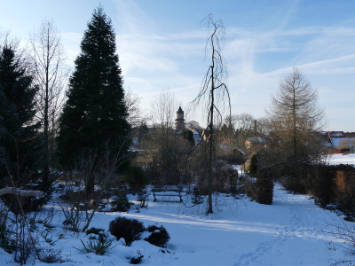 2021-01-17 Garteneinblick 1.jpg
