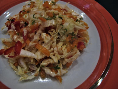 chinakohlpaprikakarottenkressesalat.JPG