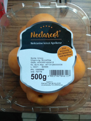 Kreuzung Nektarine Aprikose.jpg