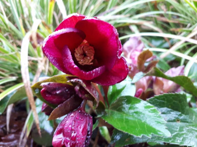 20190105_142849.jpg