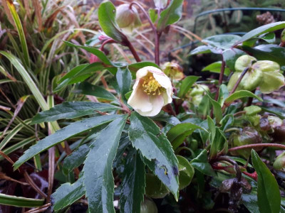 20190105_143357.jpg