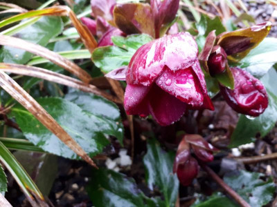 20190105_142641.jpg