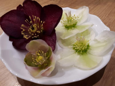 20190113_184020.jpg