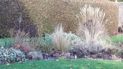 20210121_121602.jpg