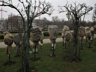 rosenvgparlament.JPG